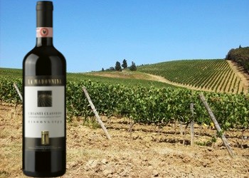 Chianti Classico Riserva La Madonnina 2013 Triacca