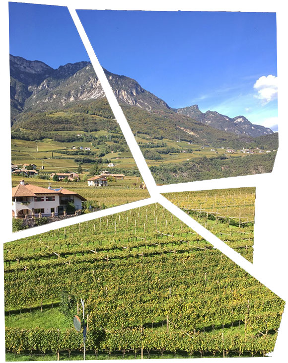 Le vigne dell'Alto Adige viste dall'aereo