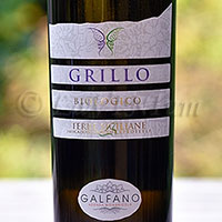 Grillo 2016 Galfano Bioagricola