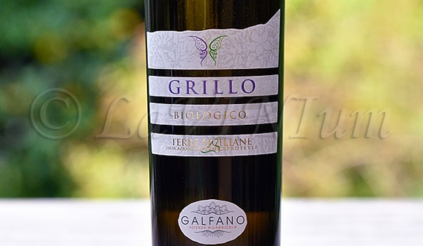 Grillo 2016 Bioagricola Galfano