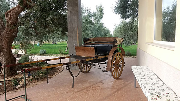 Il frantoio Schinosa