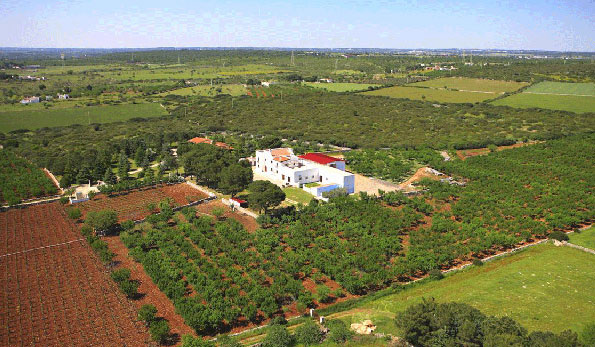 Masseria Ludovico