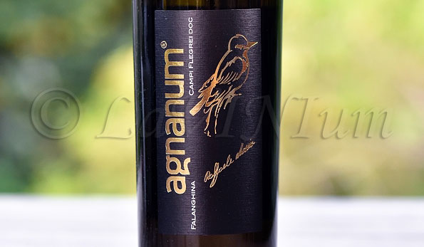 Campi Flegrei Falanghina 2016 Agnanum