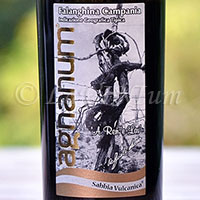 Falanghina Sabbia Vulcanica 2016 Agnanum