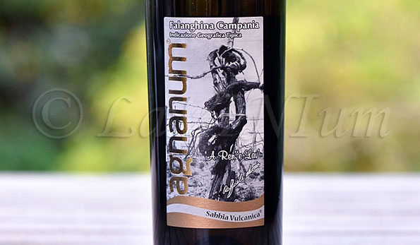 Falanghina Sabbia Vulcanica 2016 Agnanum