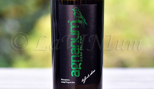Campi Flegrei Falanghina Vigna del Pino 2016 Agnanum