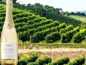 Alta Langa Brut Millesimato