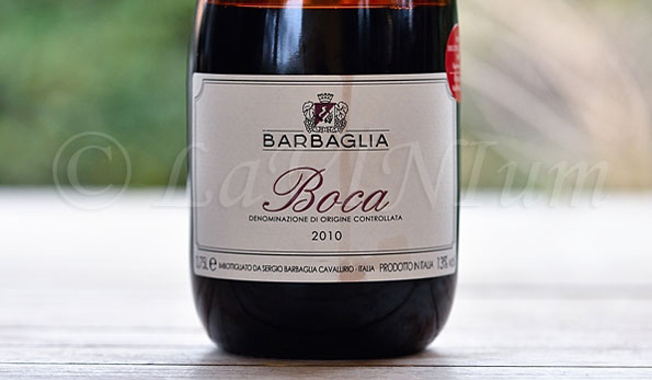 Boca 2010 Barbaglia