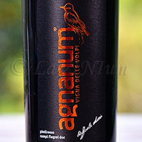 Campi Flegrei Piedirosso Vigna delle Volpi 2015 Agnanum
