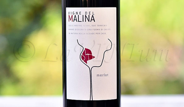 Merlot 2009 Vigne del Malina