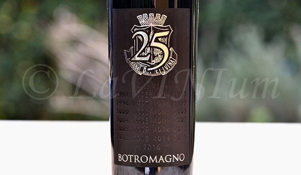 Murgia Rosso 25° Anno 2013 Botromagno