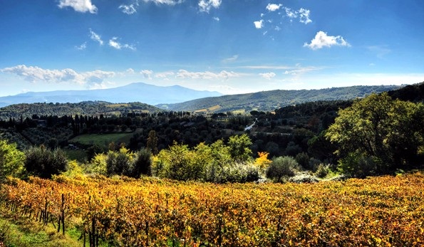 Azienda Vasco Sassetti Montalcino