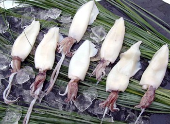 Preparazione calamari ripieni