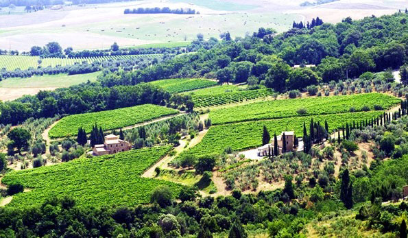 Azienda Vinicola Fuligni