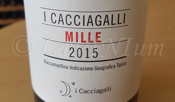 Mille 2015 I Cacciagalli