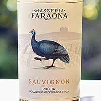 Sauvignon 2016 Masseria Faraona
