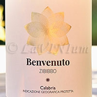 Benvenuto Zibibbo 2016 Cantine Benvenuto