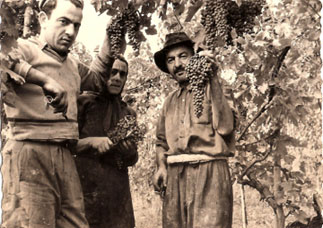 Leopoldo Milanesi, Tecla Giorgi e Antonio Milanesi nel 1950