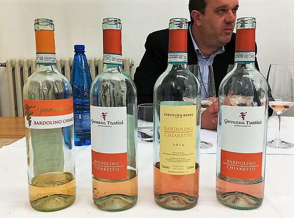 vini Giovanna Tantini