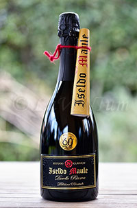 Lessini Durello Metodo Classico Riserva Millésime Plenitude 2009 Iseldo Maule