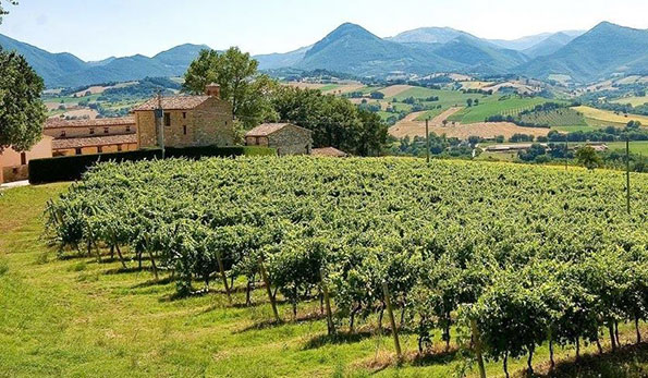 Fattoria La Monacesca