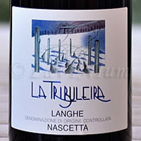 Langhe Nascetta 2016 La Tribuleira