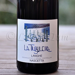 Langhe Nascetta 2016 La Tribuleira