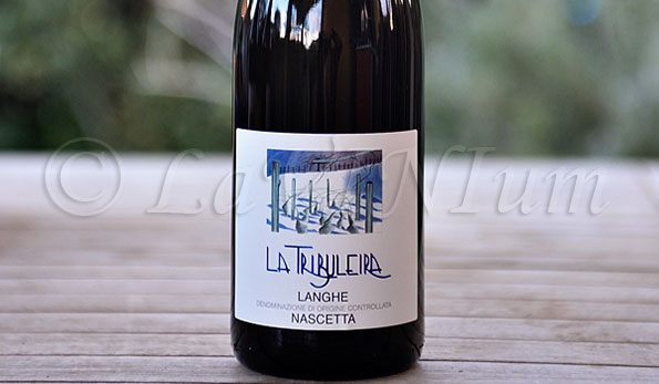 Langhe Nascetta 2016 La Tribuleira