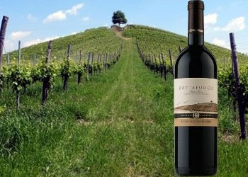 Buttafuoco frizzante dell’Oltrepo Pavese Francesco Quaquarini