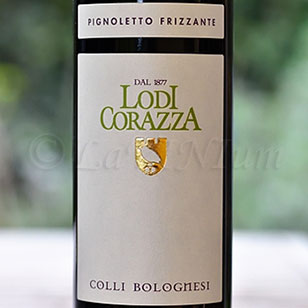 Colli Bolognesi Pignoletto Frizzante 2016 Loi Corazza