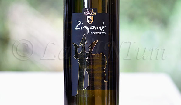 Colli Bolognesi Pignoletto Superiore Zigant 2016 Lodi Corazza