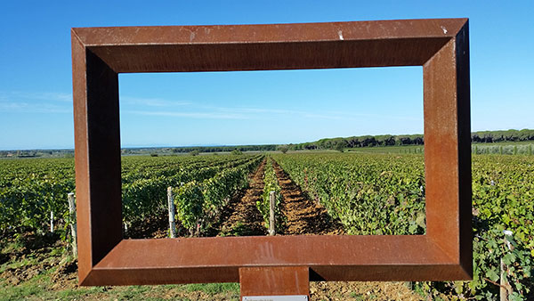 vigneti Le Macchiole