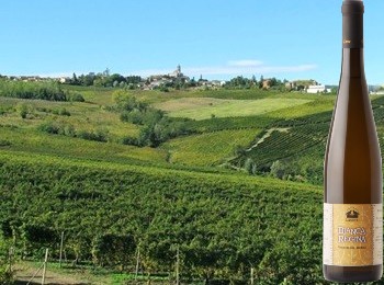 Malvasia dei Colli Piacentini Lusenti