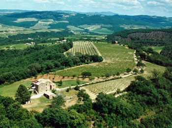 veduta dall'alto dell'azienda La Cerbaiola
