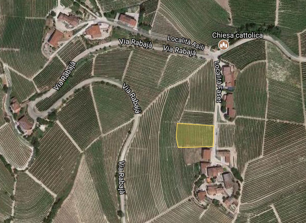 vigneto Asili azienda Roagna