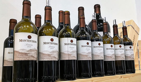 verticale di Monteverro