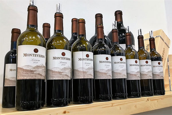 verticale di Monteverro