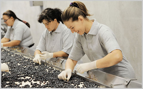 La selezione degl acini