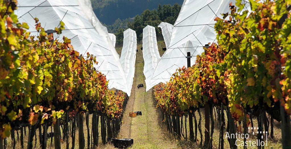 Antico Castello - rete antigrandine