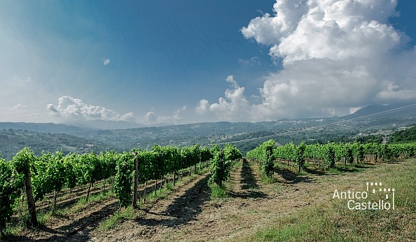 Antico Castello - panorama