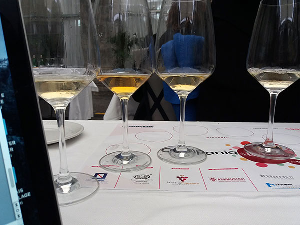 altri bianchi in degustazione