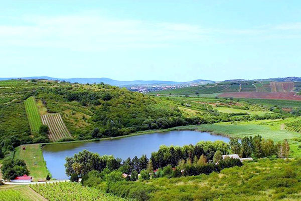 Il laghetto di Bortó Panzió