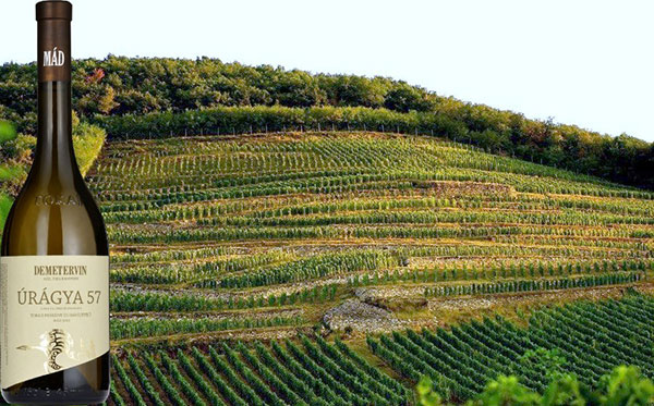 Úrágya 57 Tokaji Furmint és Hárslevelű 2012 Demetervin