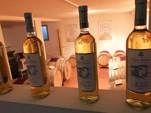 La bottaia di Fratta Minore