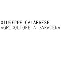 Logo Giuseppe Calabrese