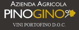 Logo azienda PinoGino