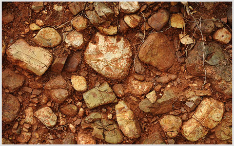 il suolo a Monteverro