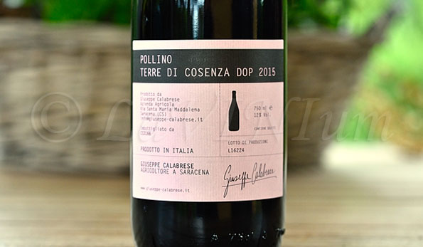 Terre di Cosenza Pollino 2015 Giuseppe Calabrese