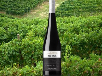 Colli Orientali del Friuli Ribolla Gialla 2016 Torre Rosazza