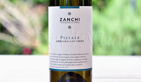 Amelia Bianco Pizzale 2016 Zanchi